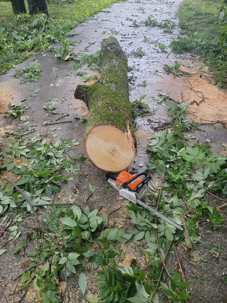 Storm Cleanup