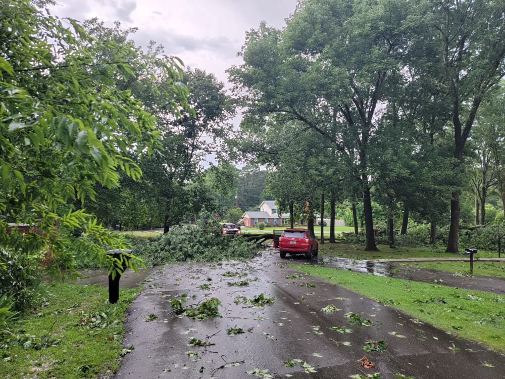 Storm Cleanup