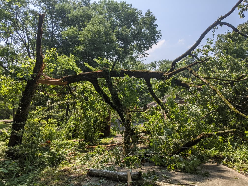 Storm Cleanup