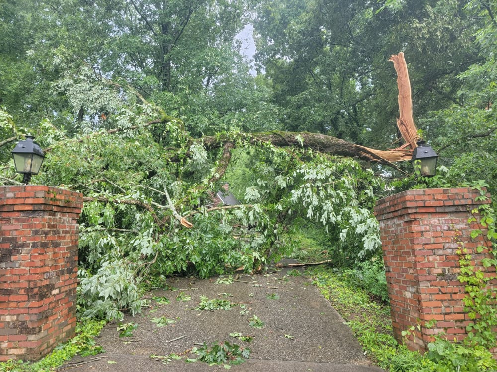 Storm Cleanup