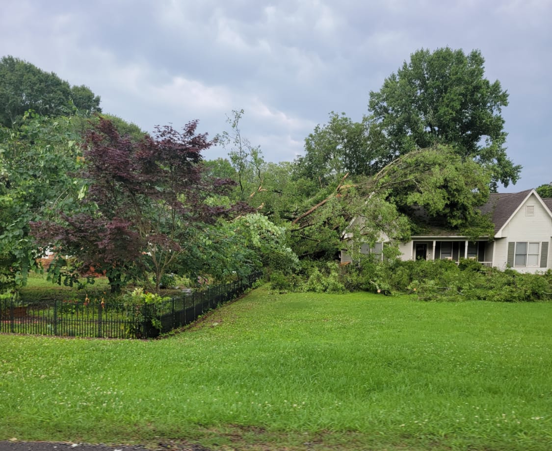 Storm Cleanup